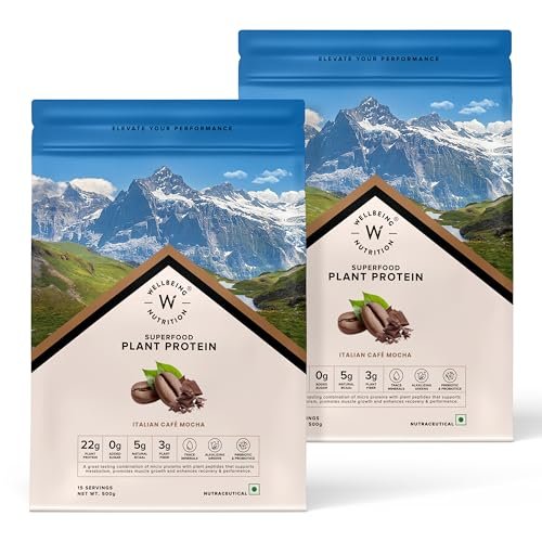 Wellbeing Nutrition Organic Vegan Plant Protein Isolate Powder | 22G Protein, 5G Bcaa European Pea & Brown Rice Protein| Italian Cafe Mocha – 500gm :pack of 2 1000gm